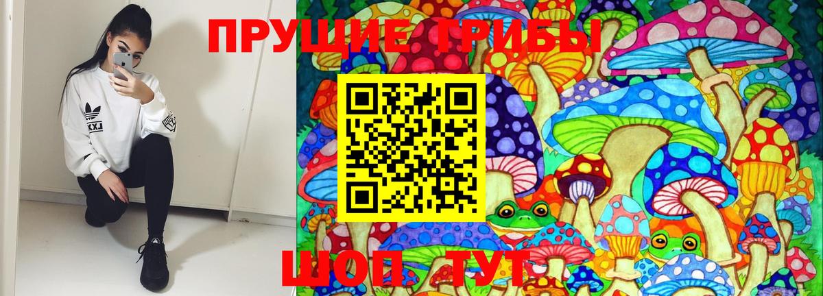 Псилоцибиновые грибы прущие грибы Кизляр