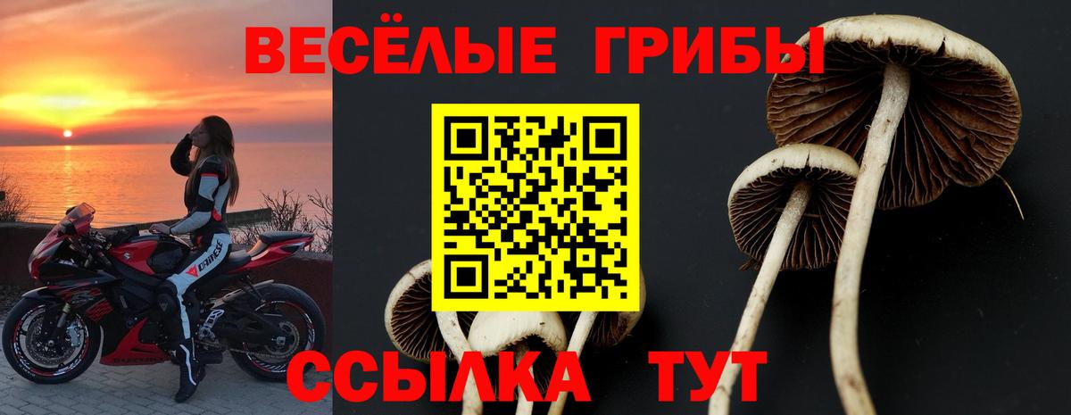 Галлюциногенные грибы мухоморы  Псилоцибиновые грибы GOLDEN TEACHER  Кизляр  Вход с VPN 