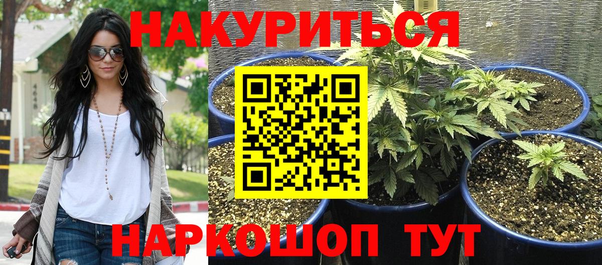Кизляр  Бошки марихуана планчик  Вход с VPN  Бошки Шишки SATIVA & INDICA  Бошки Шишки VHQ 